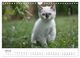 Thumbnail-12