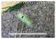Thumbnail-14