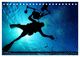 Thumbnail-12