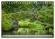 Thumbnail-14