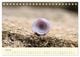 Thumbnail-12