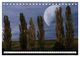 Thumbnail-8