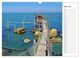 Thumbnail-9