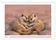 Thumbnail-11