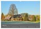 Thumbnail-8