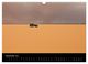 Thumbnail-14