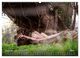 Thumbnail-14