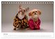 Thumbnail-12