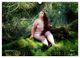 Thumbnail-14