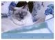 Thumbnail-9