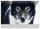 Thumbnail-13