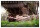 Thumbnail-13