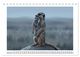 Thumbnail-11