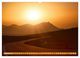 Thumbnail-11