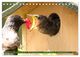 Thumbnail-11