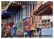 Thumbnail-11