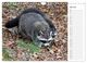 Thumbnail-9
