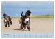 Thumbnail-12