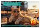 Thumbnail-12