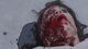 Thumbnail-10