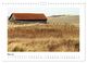 Thumbnail-10