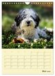 Thumbnail-10