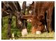 Thumbnail-11