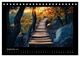Thumbnail-11