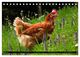 Thumbnail-10