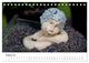 Thumbnail-10