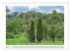 Thumbnail-8