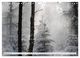 Thumbnail-14