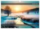 Thumbnail-14
