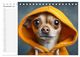 Thumbnail-13