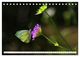 Thumbnail-12