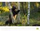 Thumbnail-11