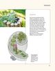 Thumbnail-15