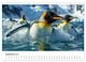 Thumbnail-14