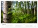 Thumbnail-9
