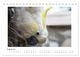 Thumbnail-13