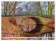 Thumbnail-12
