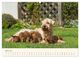 Thumbnail-9