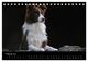 Thumbnail-7