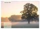 Thumbnail-14