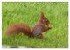 Thumbnail-12