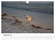 Thumbnail-11