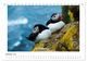 Thumbnail-12
