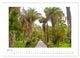 Thumbnail-12