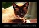 Thumbnail-10
