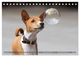 Thumbnail-11